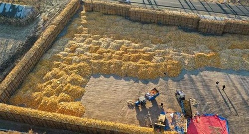 2345截图20231106181924.jpg