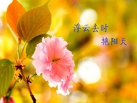 不一样的五·一，用一样的心去努力