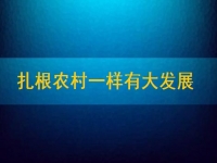 在家能做的兼职正规可靠，扎根农村一样有大发展