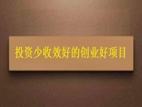 投资不到3万，1个人就能干，利润很高，每天收入能上千，我能做吗