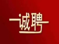 诚聘英才    
