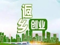 除了种地，不外出打工，在农村还能怎样挣钱？很多人低成本创业做手工传承官