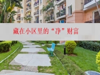 在城里创业办纯手工加工厂，就是找到了藏在小区里的“净”财富