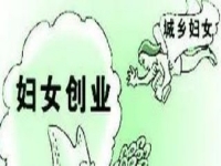 农村创业、城市创业，家庭主妇等女士做手工传承官都是自带优势