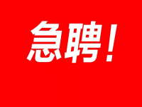 指尖艺术文创产业发展中心    招工招聘