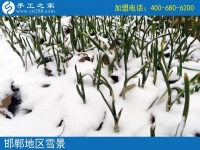 雪天串珠绣，足不出户在家赚钱！邯郸魏县贾女士的手工活兼职记