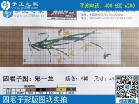 手工之家雅薇丽珠绣图纸展示：一学就会，一看就懂的手工活！