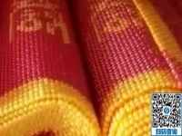 做手工活加工事业，没有任何门槛，男士也很青睐